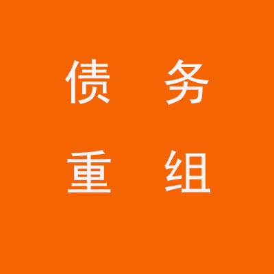 白水个人债务重组优化